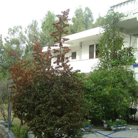 Villa Zoi Thronion Exteriör bild