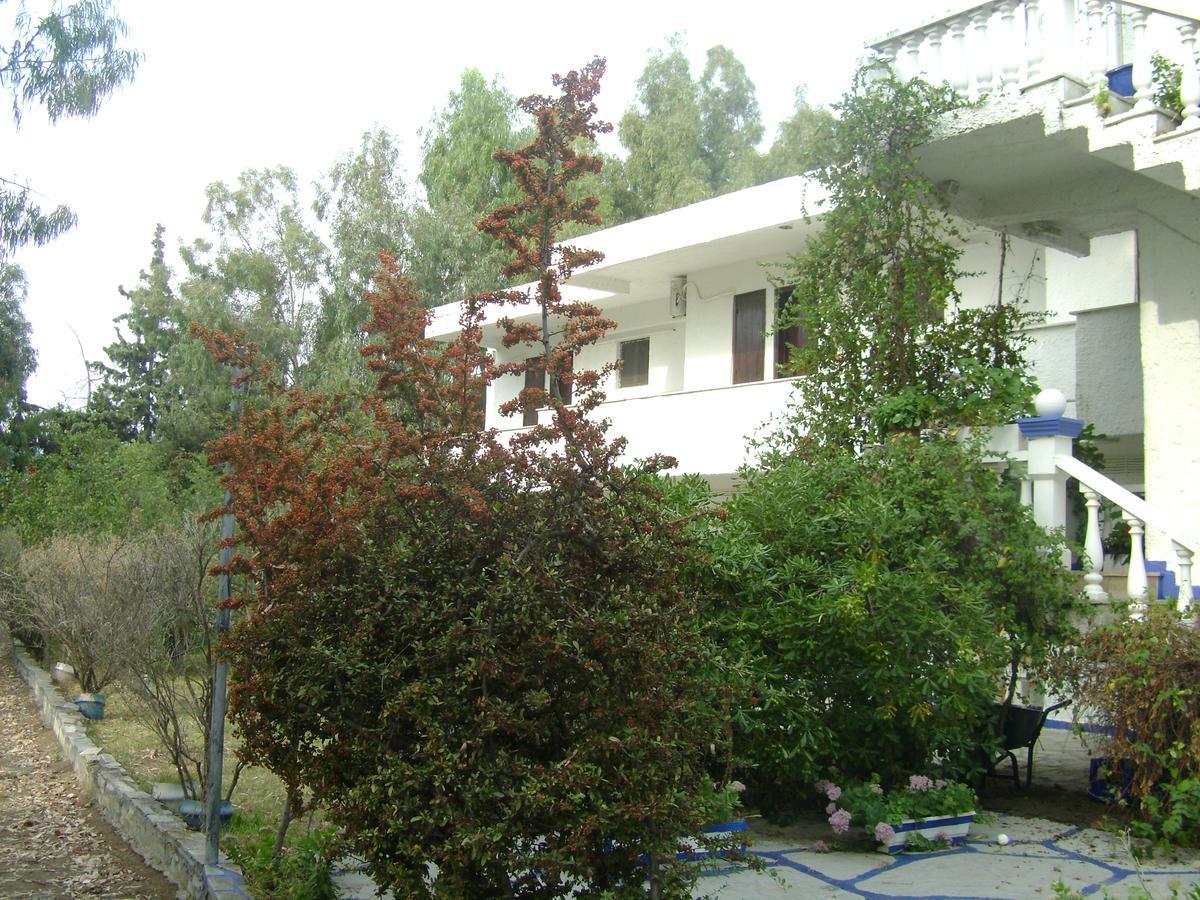 Villa Zoi Thronion Exteriör bild