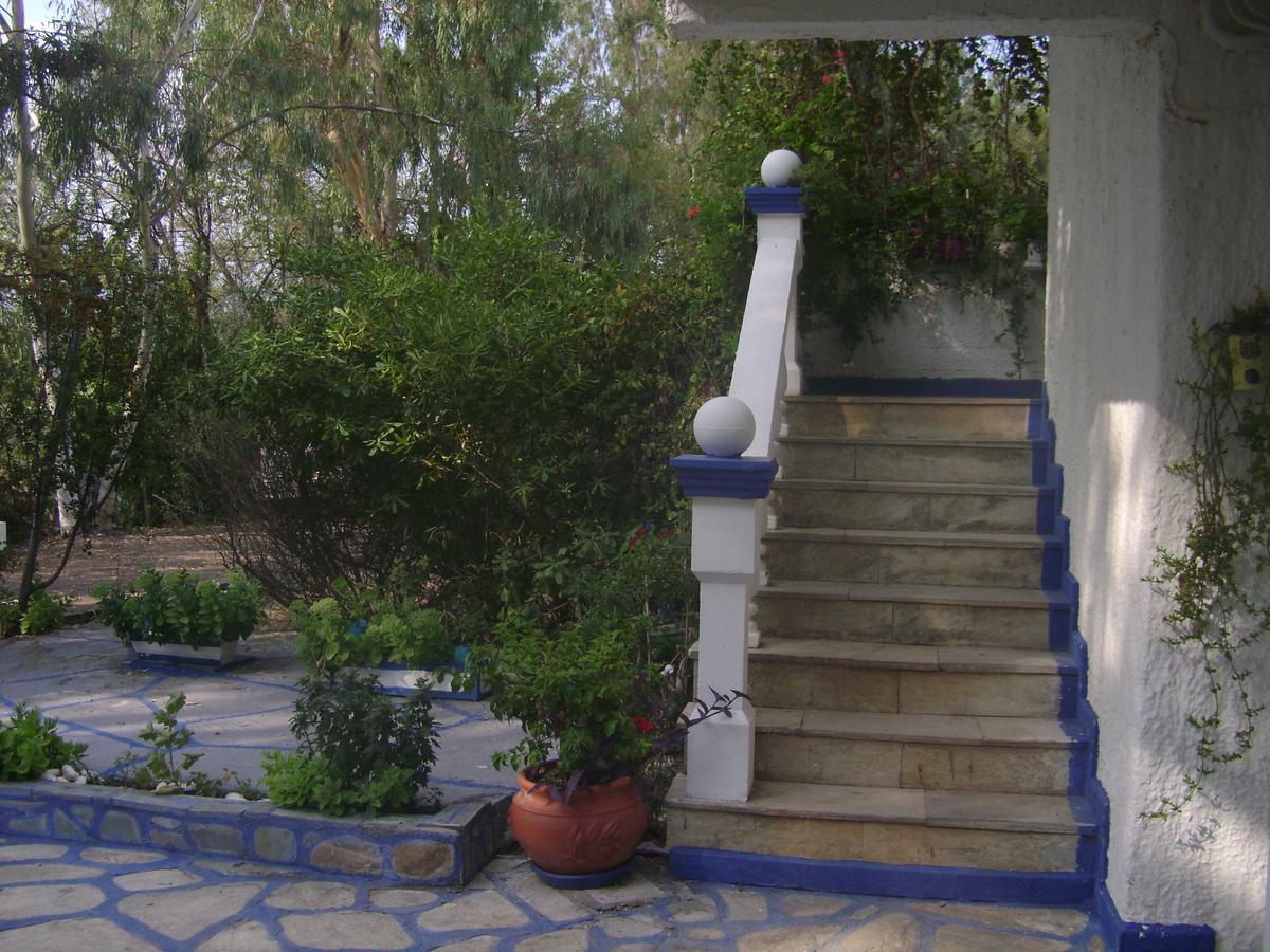 Villa Zoi Thronion Exteriör bild