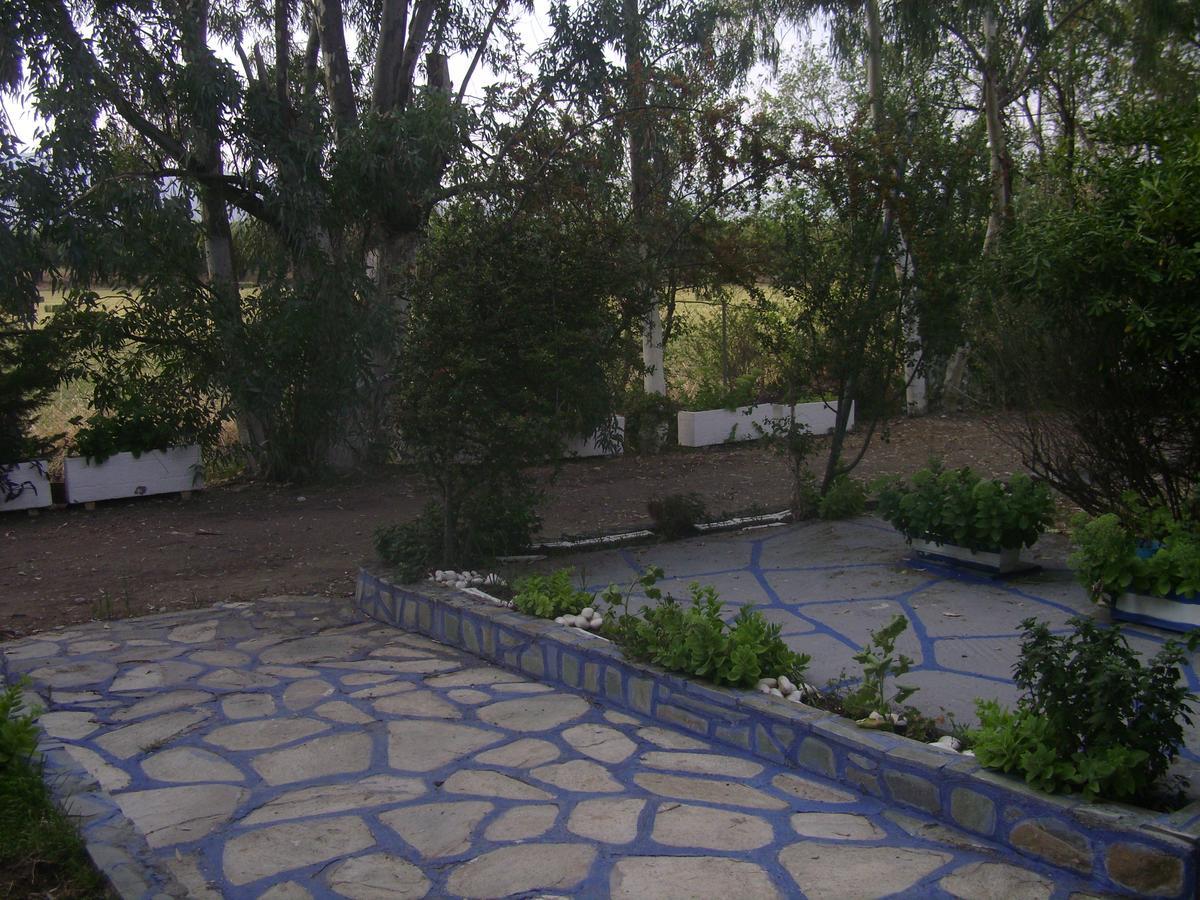 Villa Zoi Thronion Exteriör bild